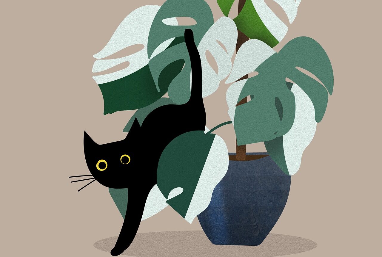 Pet-Safe Plants for a Cozy and Healthy Home
