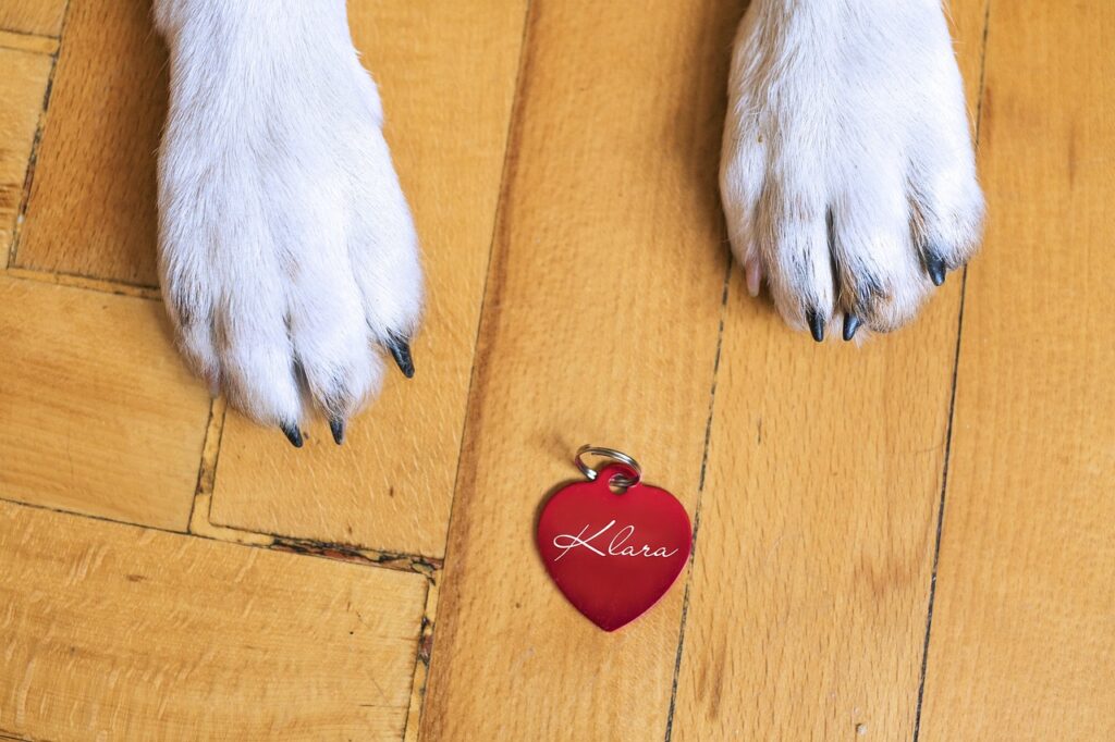 dog name