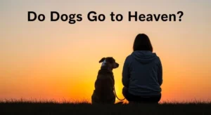 Do Dogs Go to Heaven?