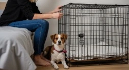 puppy crate next to bed for comfort